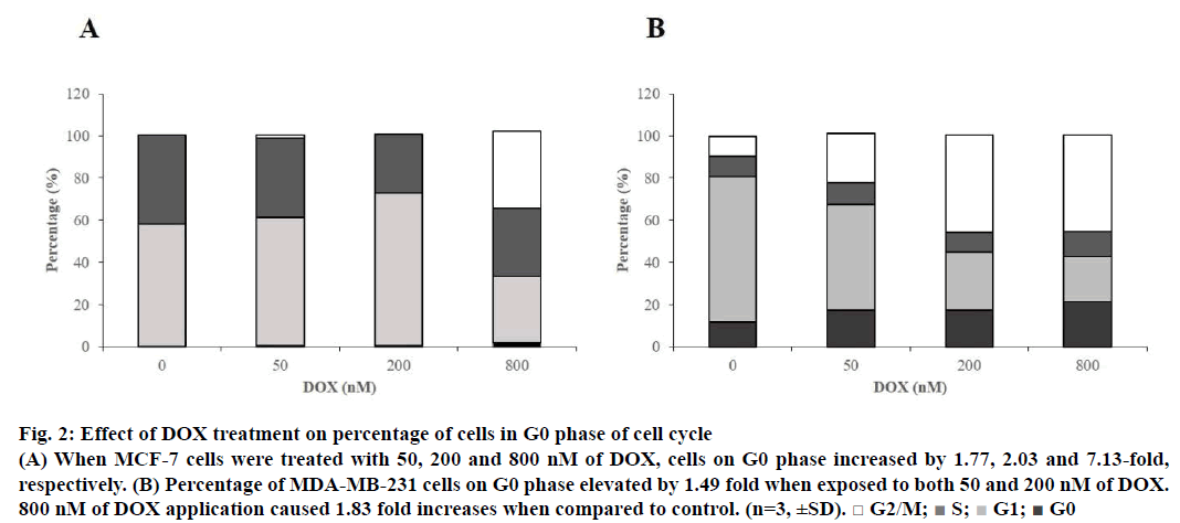 IJPS-DOX-treatment-percentage