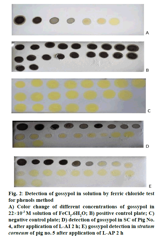 IJPS-Detection-gossypol