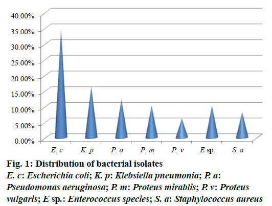 IJPS-Distribution-bacterial-isolates