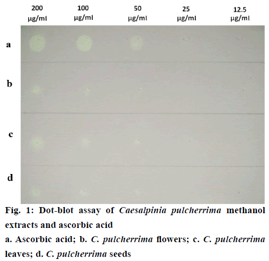 IJPS-Dot-blot