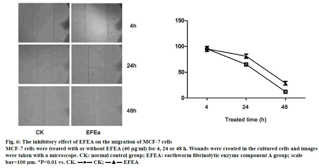 IJPS-EFEA-migration