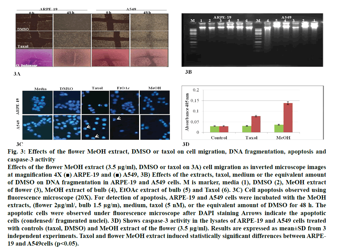 IJPS-Effects