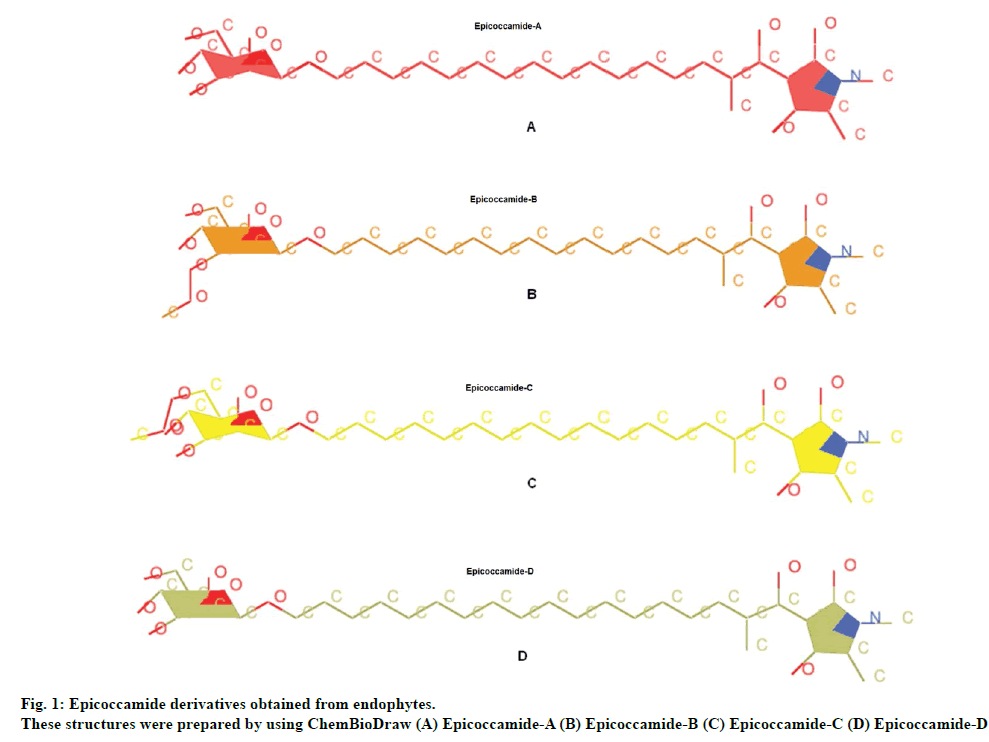 IJPS-Epicoccamide-derivatives-obtained