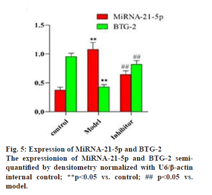 IJPS-Expression