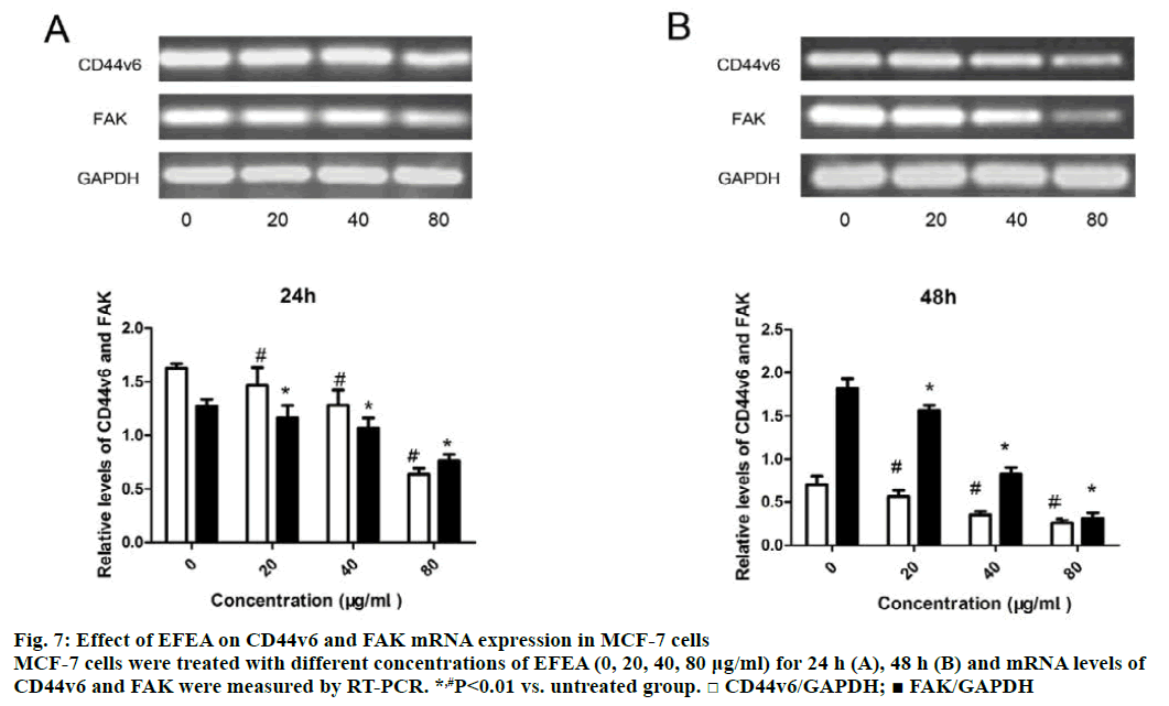 IJPS-FAK-mRNA-expression