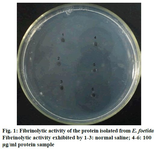 IJPS-Fibrinolytic-activity