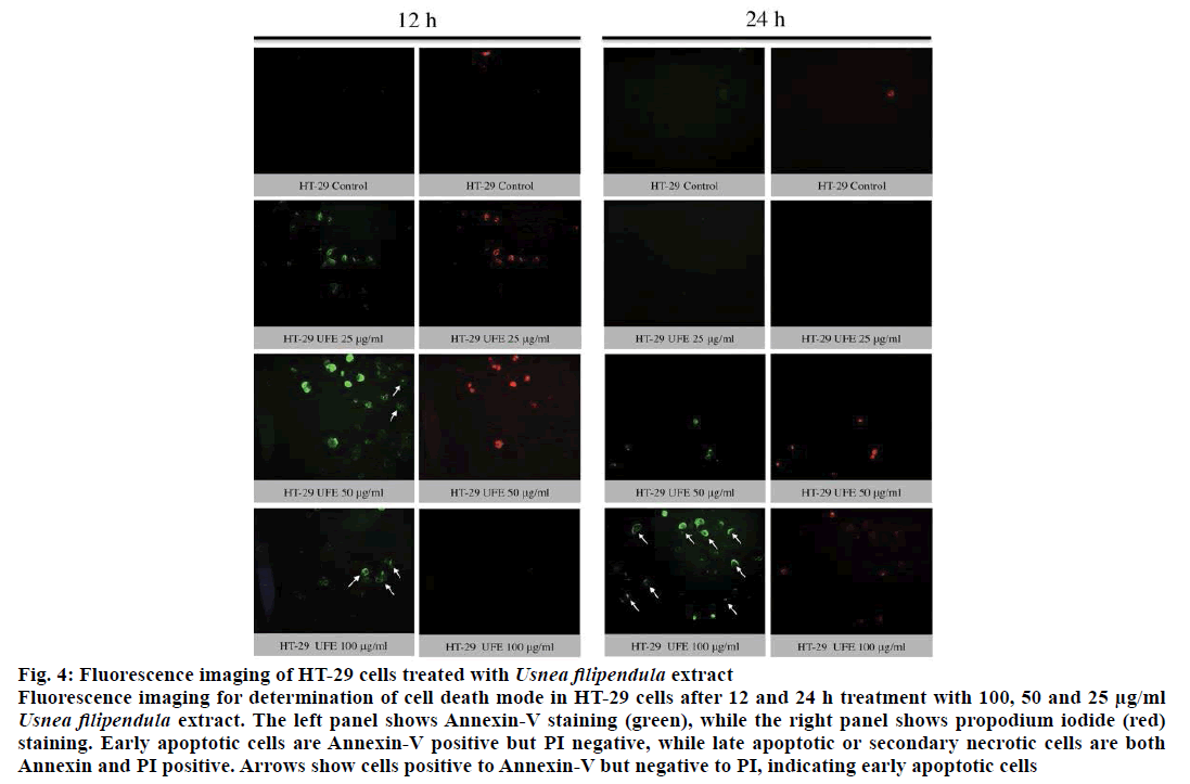 IJPS-Fluorescence-imaging