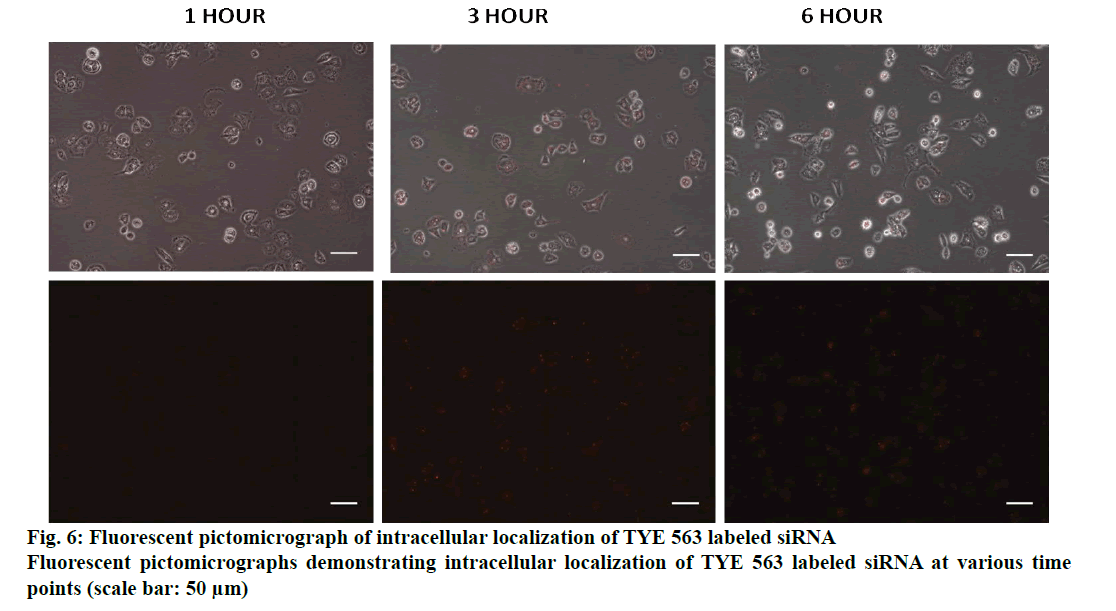 IJPS-Fluorescent