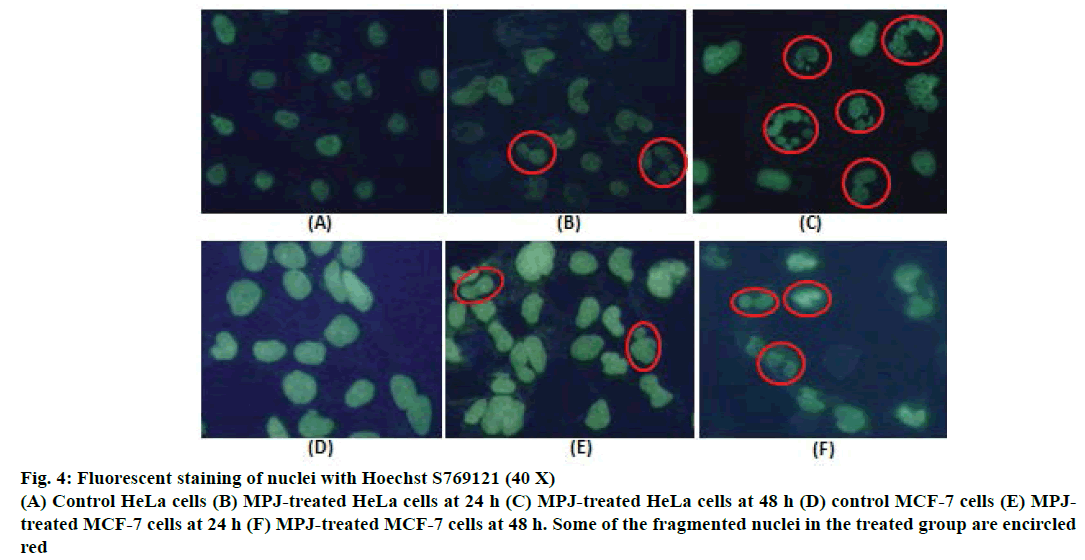 IJPS-Fluorescent-staining