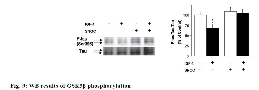 IJPS-GSK3β