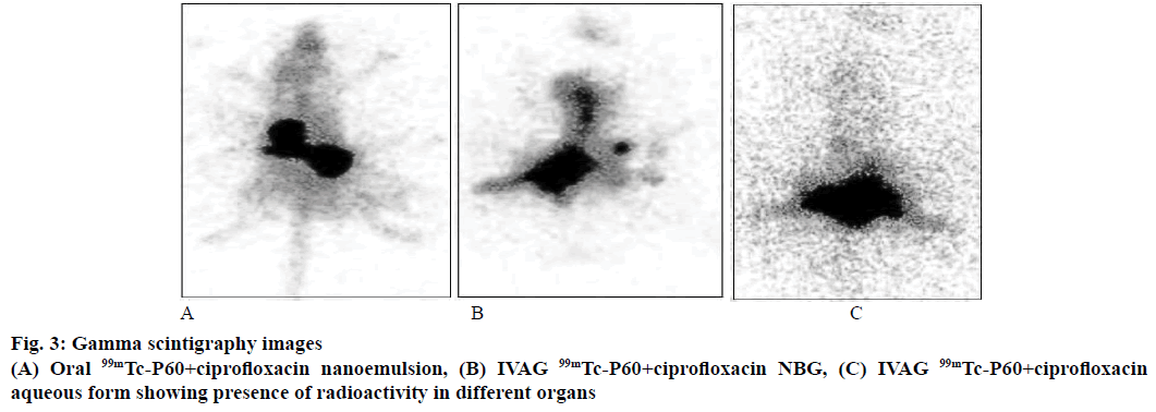 IJPS-Gamma-scintigraphy