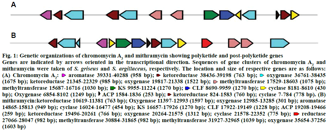 IJPS-Genetic-organizations