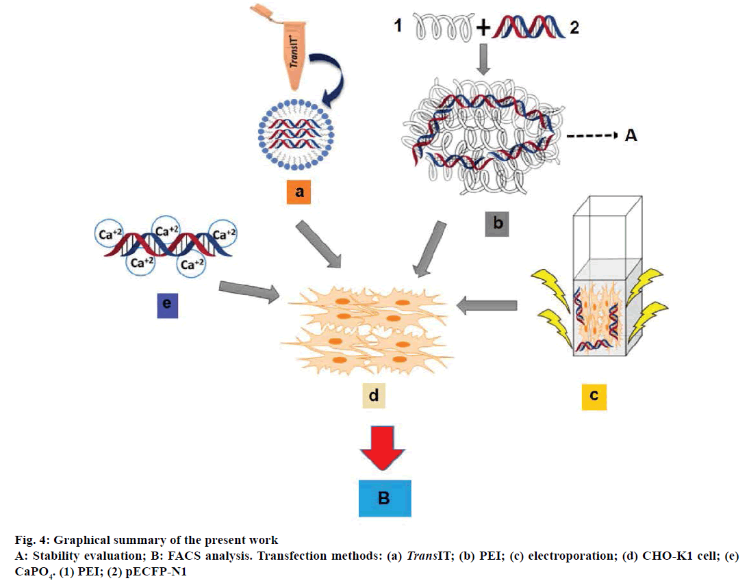 IJPS-Graphical-summary