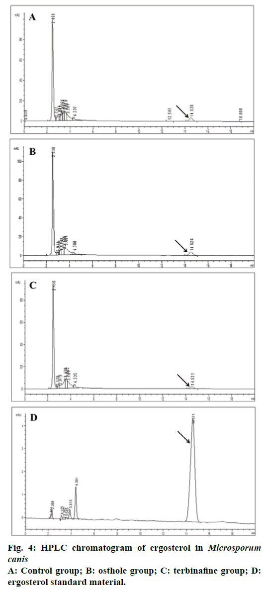 IJPS-HPLC-chromatogram