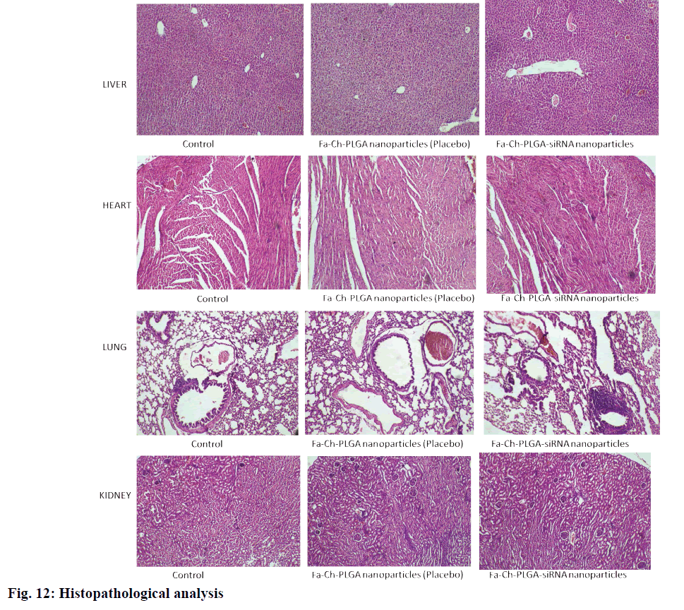 IJPS-Histopathological