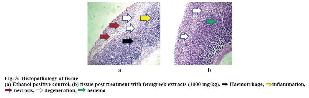 IJPS-Histopathology