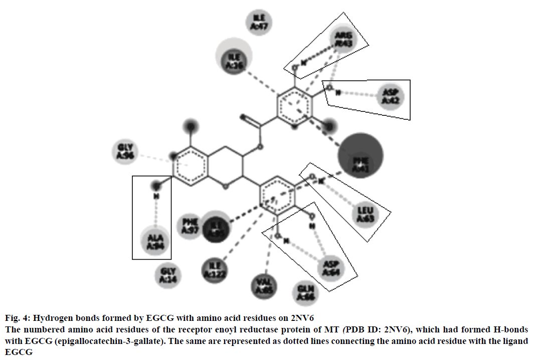 IJPS-Hydrogen-bonds