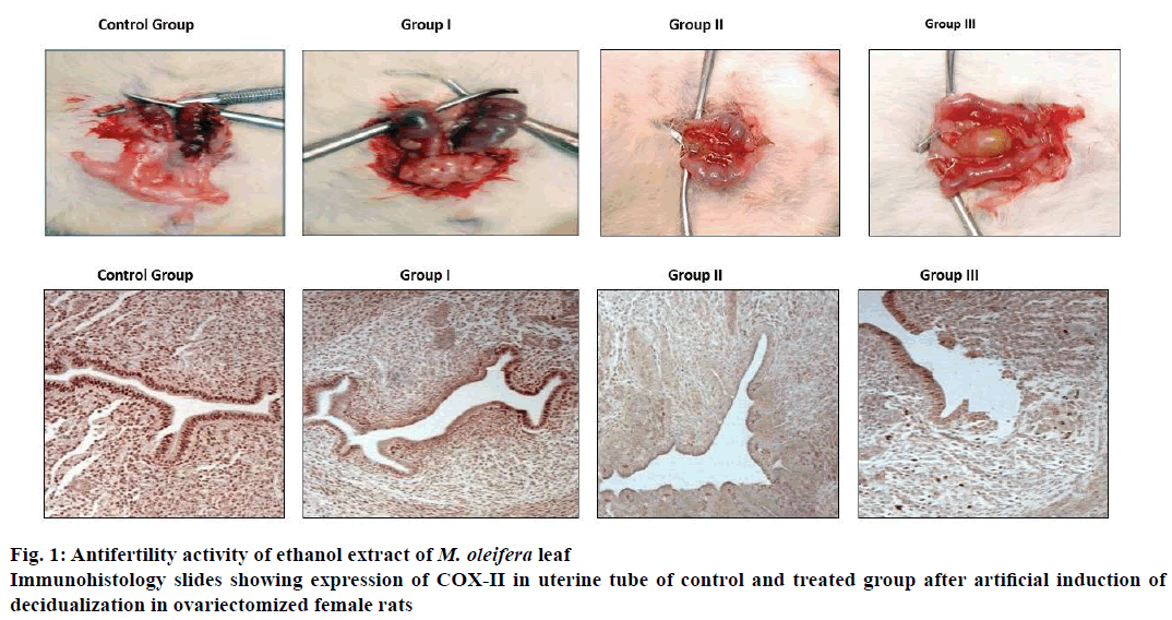 IJPS-Immunohistology-slides