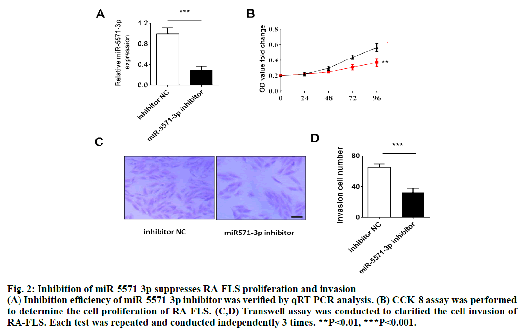 IJPS-Inhibition