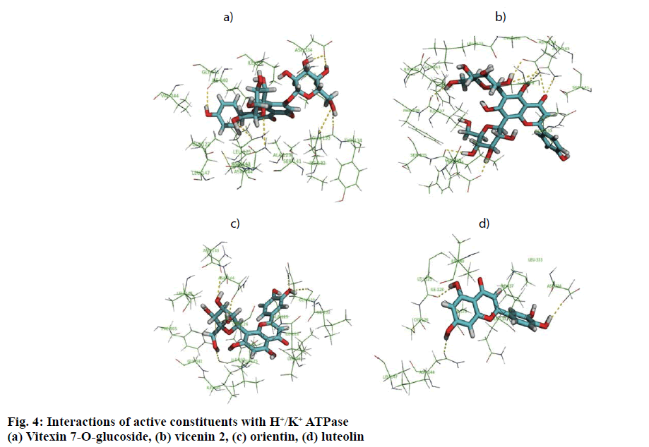 IJPS-Interactions