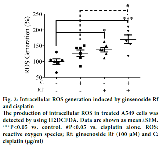 IJPS-Intracellular-ROS