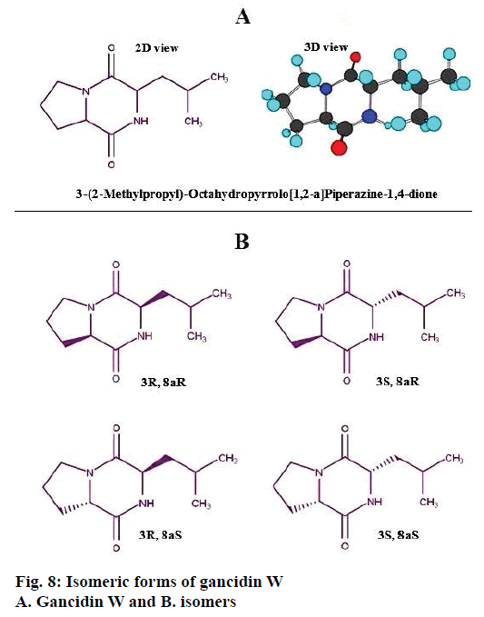 IJPS-Isomeric-forms