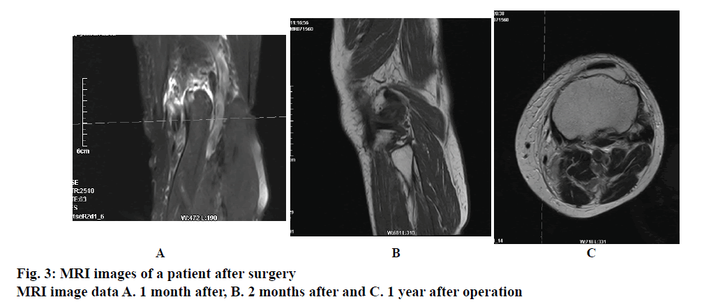 IJPS-MRI-images