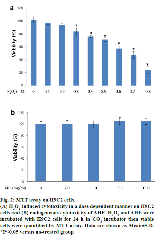 IJPS-MTT-assay-H9C2-cells