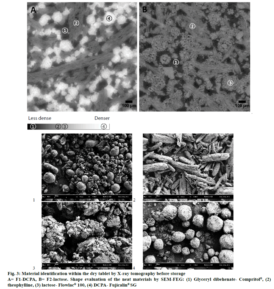 IJPS-Material-identification