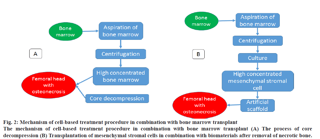 IJPS-Mechanism