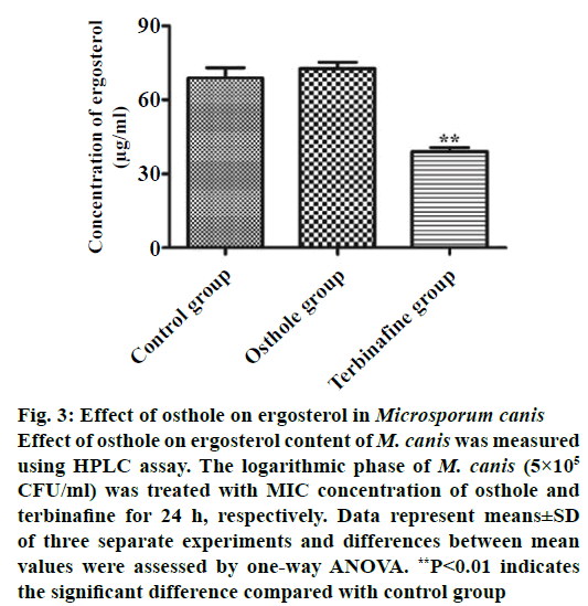 IJPS-Microsporum-canis