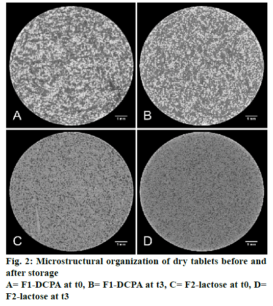 IJPS-Microstructural-organization