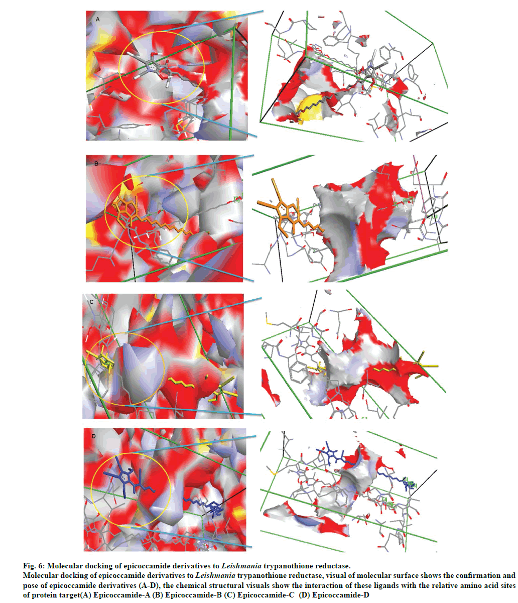 IJPS-Molecular-docking-of-epicoccamide