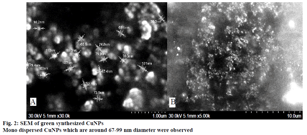 IJPS-Mono-dispersed