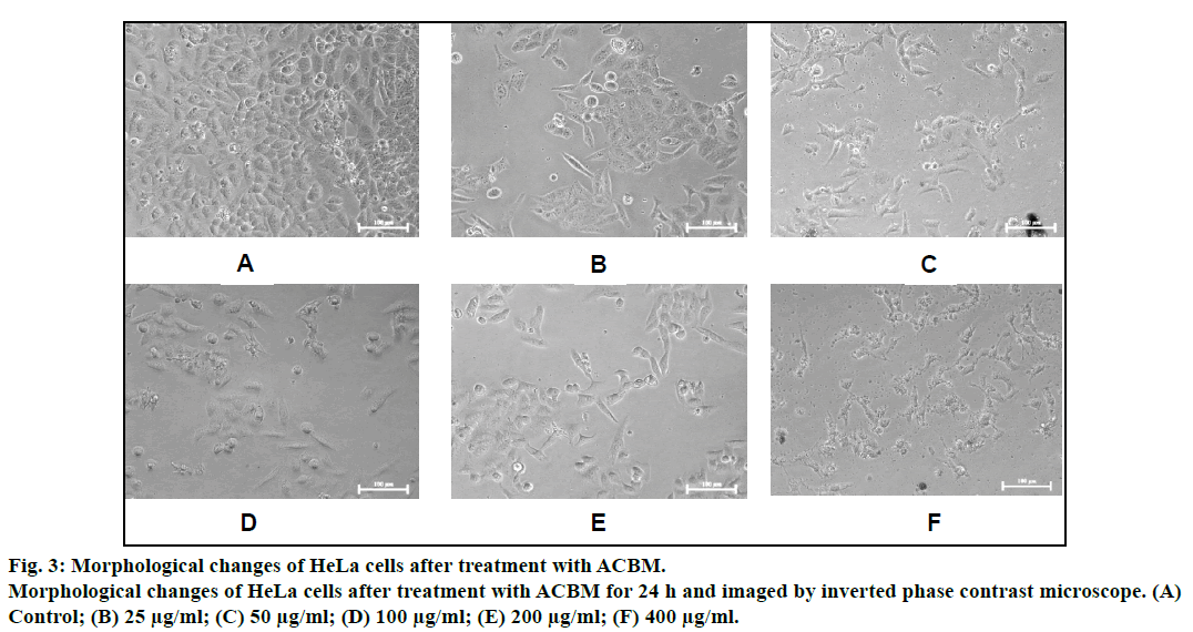 IJPS-Morphological-changes