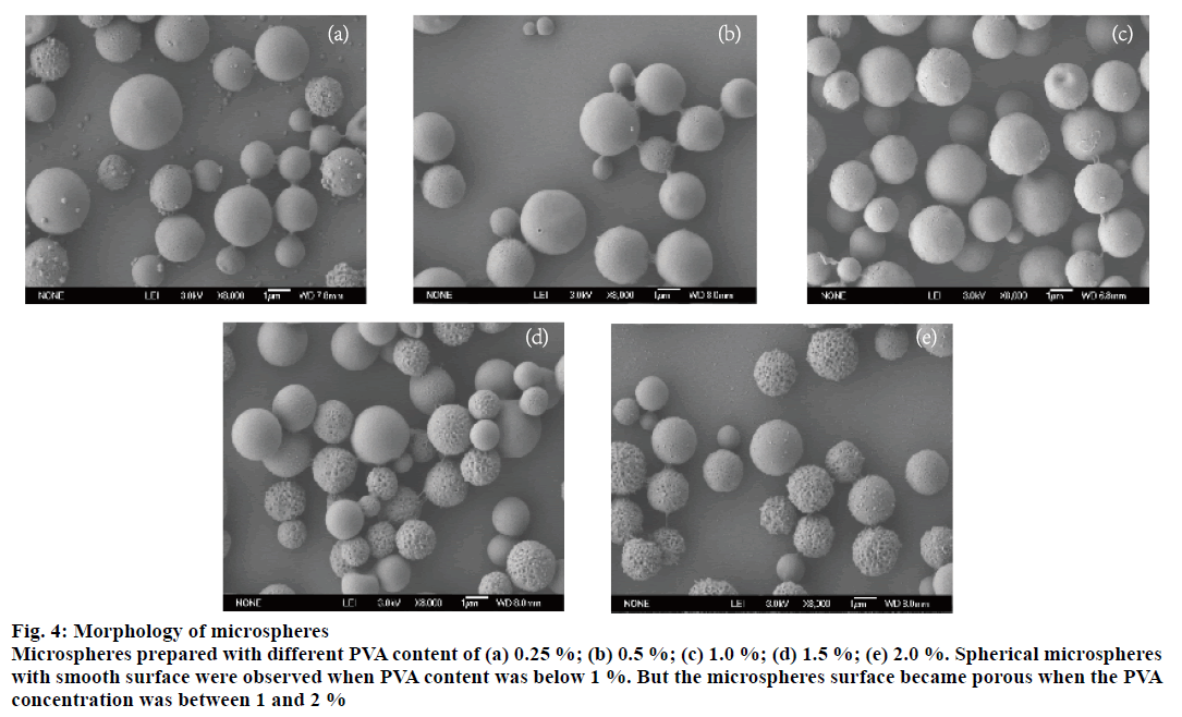 IJPS-Morphology-microspheres