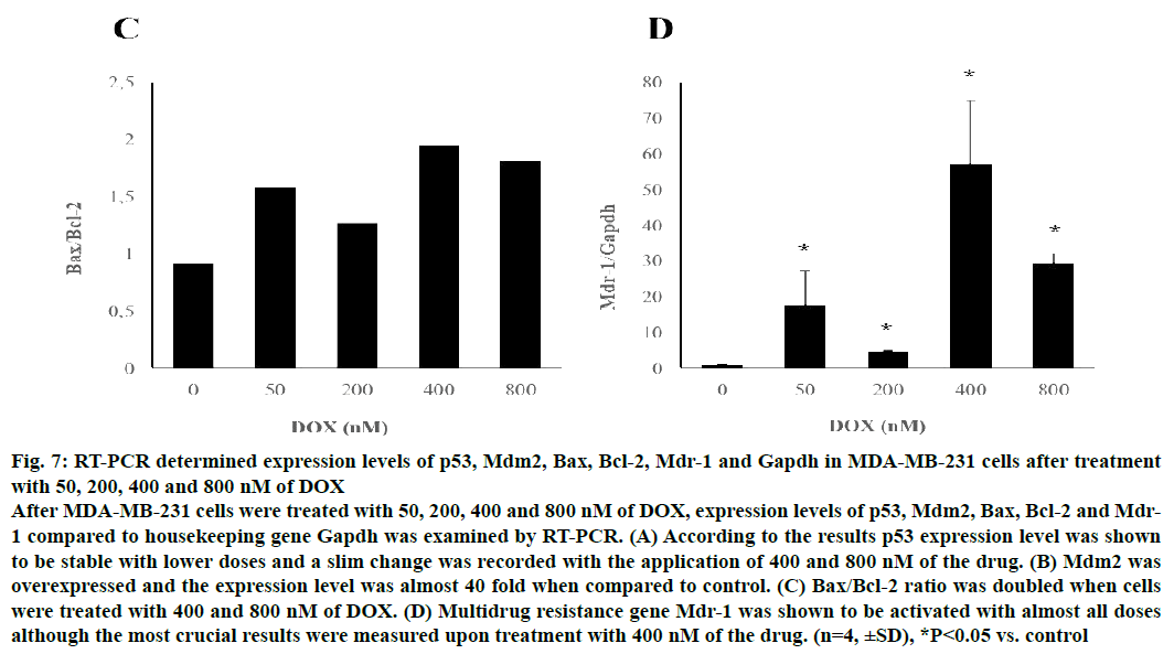 IJPS-Multidrug-resistance-gene