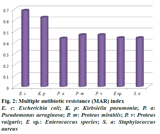 IJPS-Multiple-antibiotic-resistance