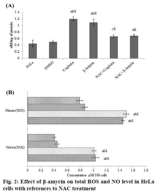 IJPS-NAC-treatment