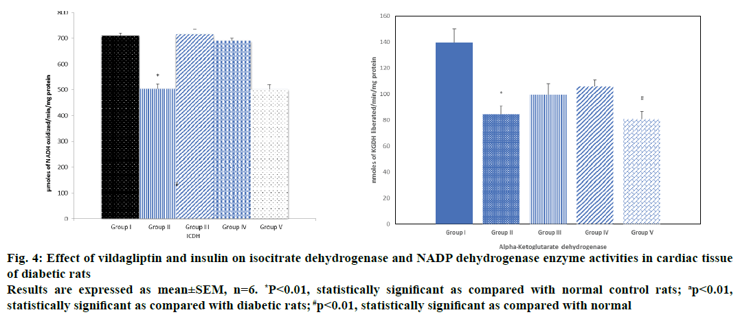 IJPS-NADP-dehydrogenase