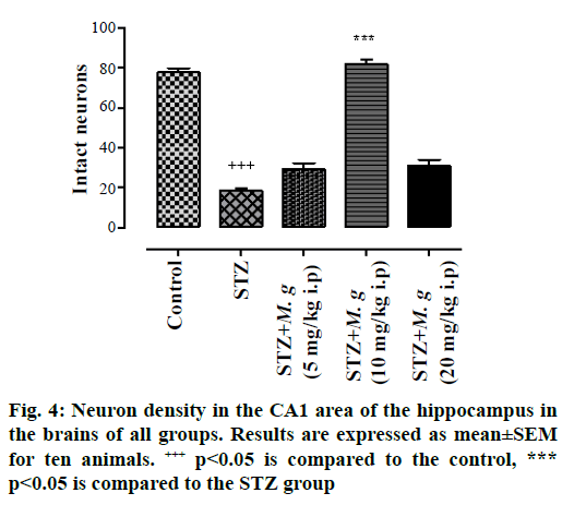 IJPS-Neuron-density