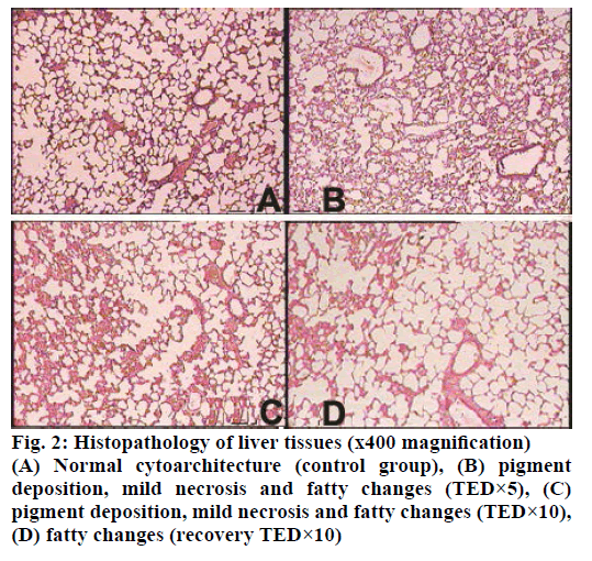 IJPS-Normal-cytoarchitecture