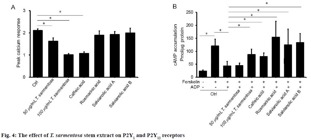 IJPS-P2Y1-P2Y12-receptors