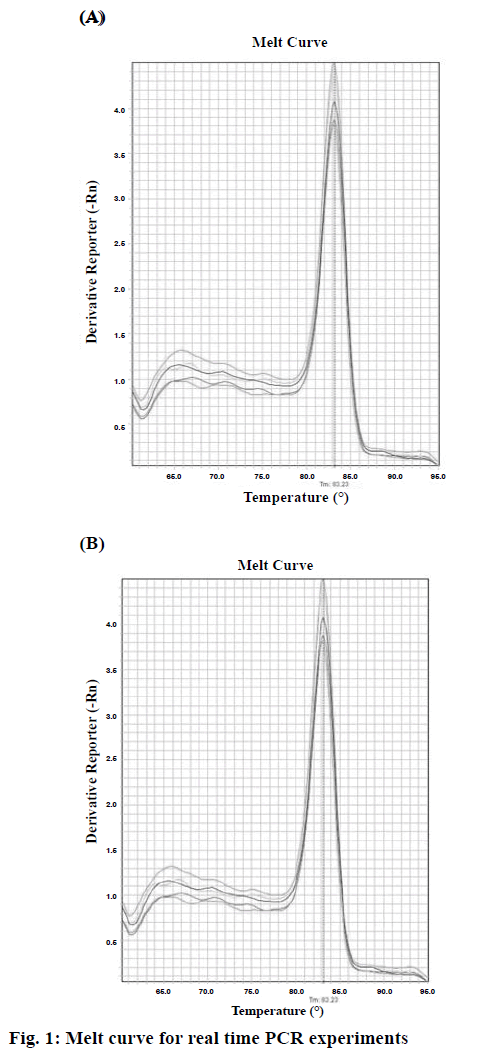 IJPS-PCR-experiments