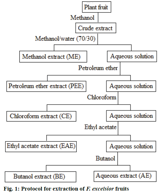 IJPS-Protocol-extraction