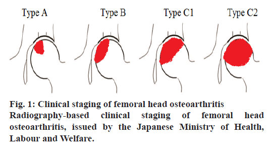 IJPS-Radiography