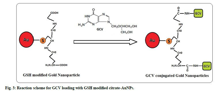 IJPS-Reaction-scheme-GCV-loading