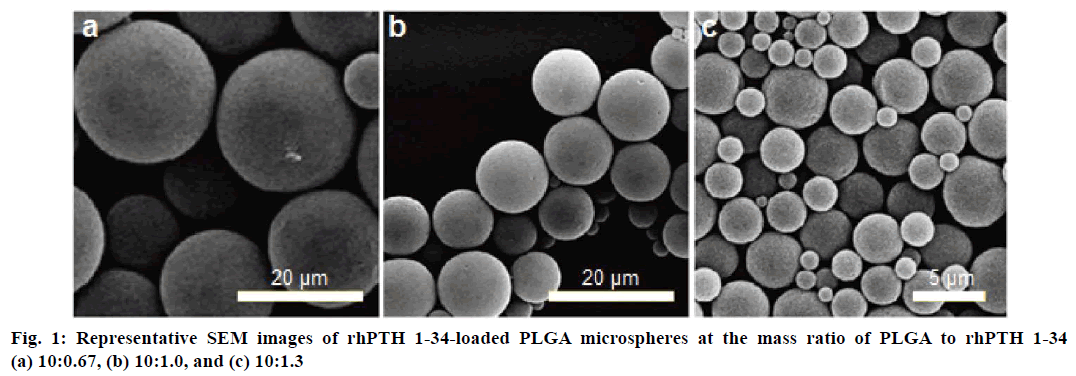 IJPS-Representative-SEM-images