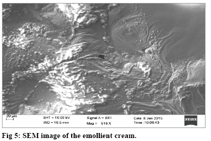 IJPS-SEM-image-emollient