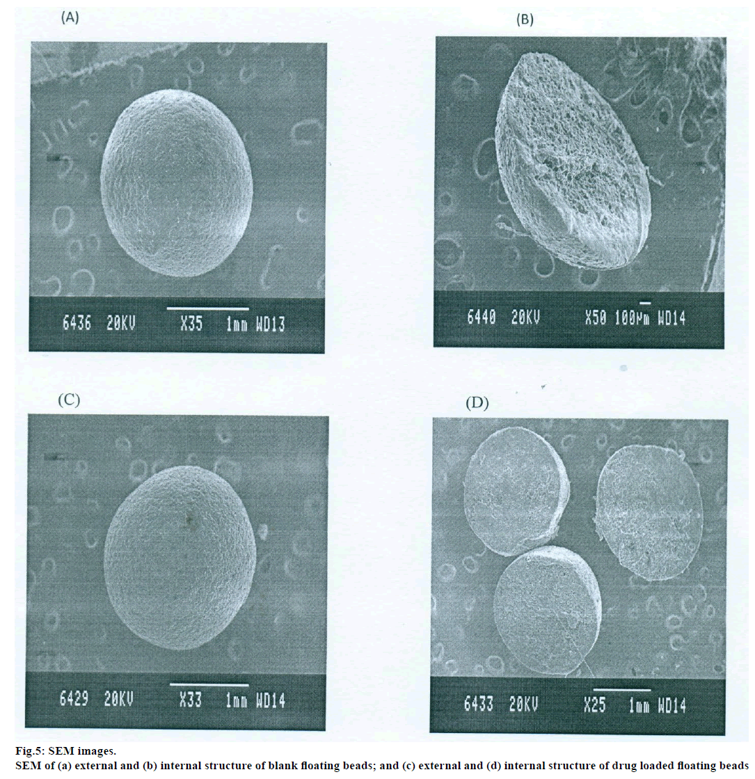 IJPS-SEM-images-external